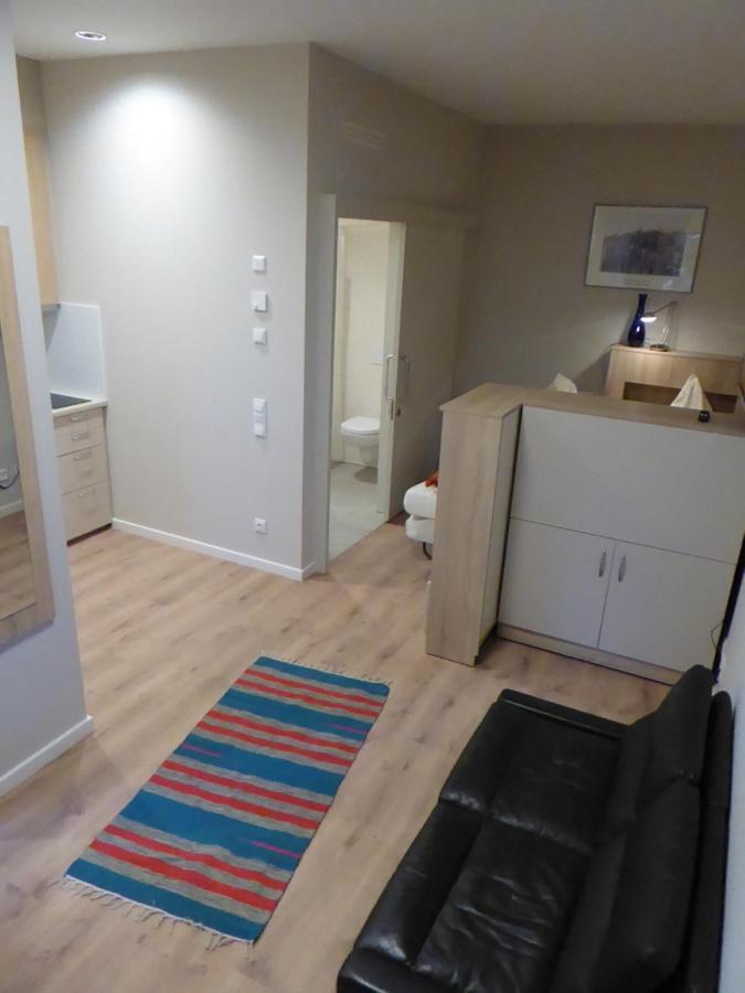 Studio Apartment 2 Тюбинген Экстерьер фото